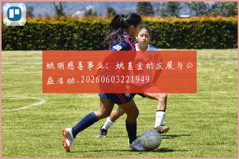 姚明慈善事业：姚基金的发展与公益活动_20260603221949