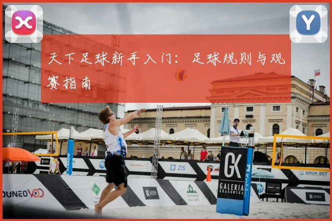 天下足球新手入门：足球规则与观赛指南