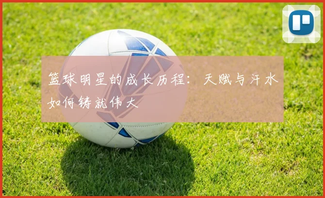 篮球明星的成长历程：天赋与汗水如何铸就伟大