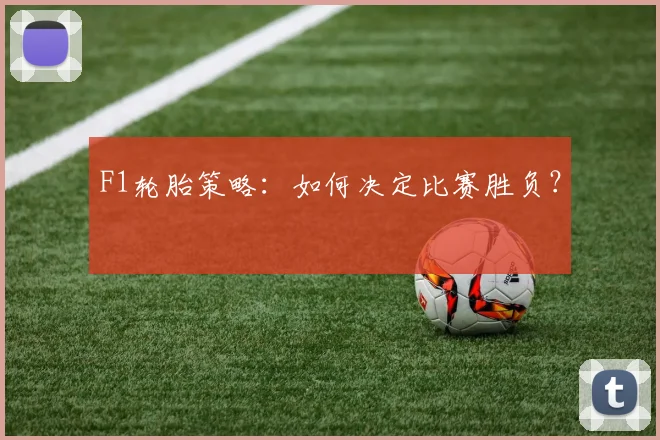 F1轮胎策略：如何决定比赛胜负？